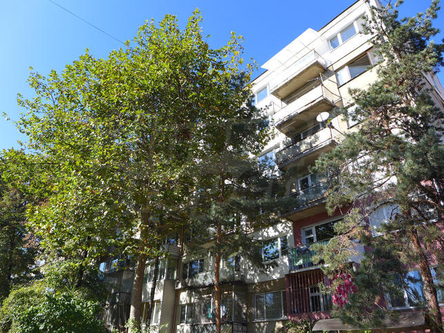Apartment on green and quiet street, close to shops, schools and kindergartens Apartment on green and quiet street, close to shops, schools and kindergartens