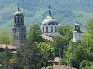Град Елена